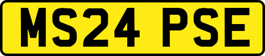 MS24PSE
