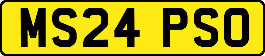 MS24PSO