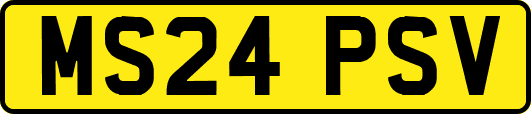MS24PSV