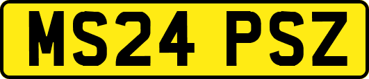 MS24PSZ