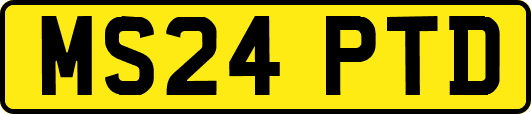 MS24PTD