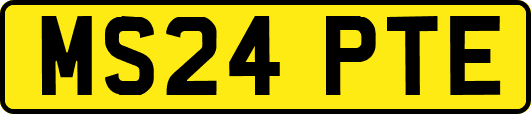 MS24PTE