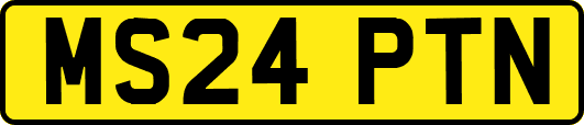 MS24PTN