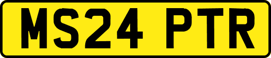 MS24PTR