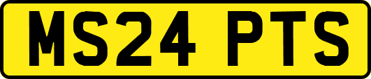 MS24PTS