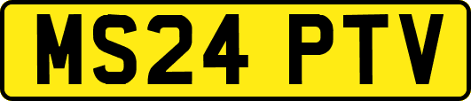 MS24PTV