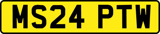 MS24PTW