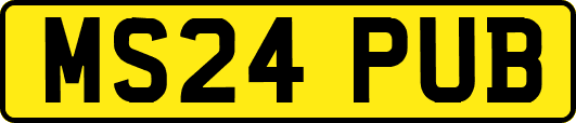 MS24PUB
