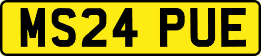MS24PUE