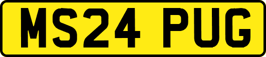 MS24PUG