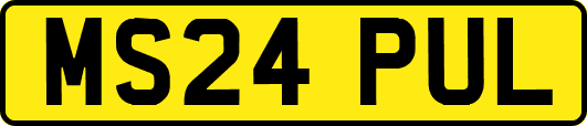 MS24PUL