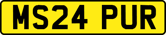 MS24PUR