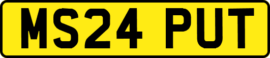 MS24PUT