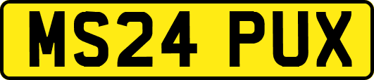 MS24PUX