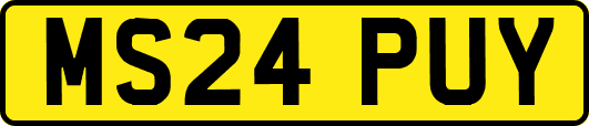 MS24PUY