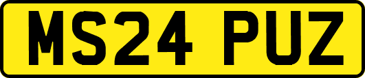 MS24PUZ