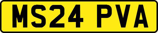 MS24PVA