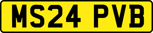 MS24PVB