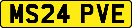 MS24PVE