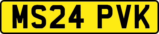MS24PVK