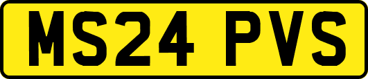 MS24PVS