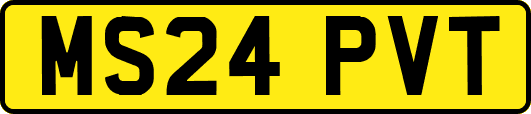 MS24PVT
