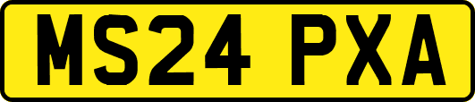 MS24PXA