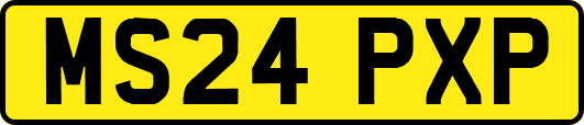 MS24PXP