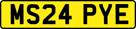 MS24PYE
