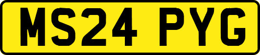 MS24PYG
