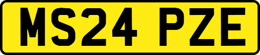 MS24PZE