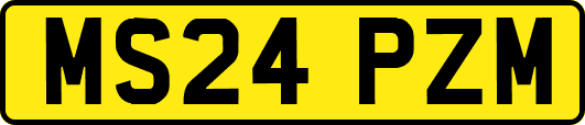 MS24PZM