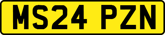 MS24PZN