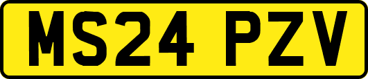 MS24PZV