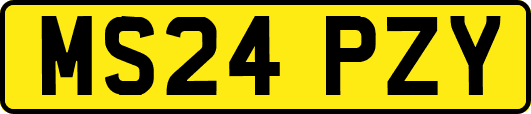 MS24PZY