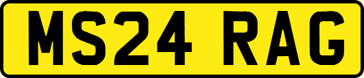 MS24RAG
