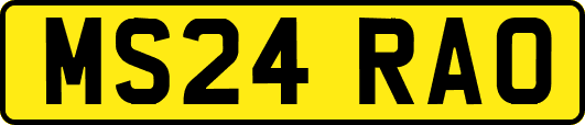 MS24RAO