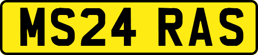 MS24RAS