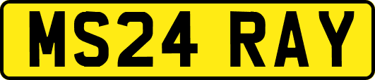 MS24RAY