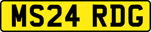 MS24RDG