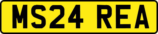 MS24REA