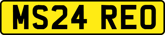 MS24REO