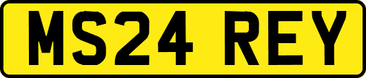 MS24REY