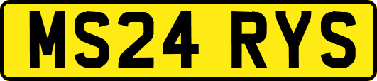 MS24RYS
