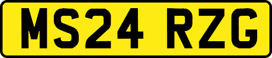 MS24RZG