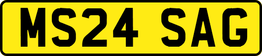 MS24SAG