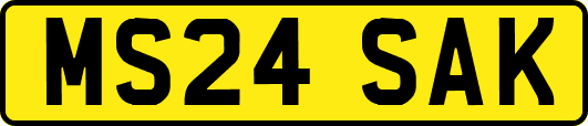 MS24SAK