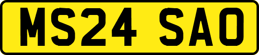 MS24SAO