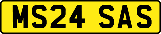 MS24SAS