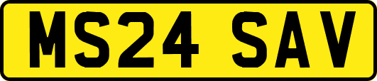 MS24SAV